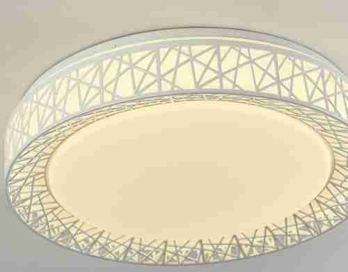 Потолочный светодиодный светильник F-Promo Creatura 2314-5C