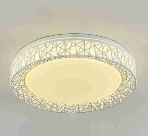 Потолочный светодиодный светильник F-Promo Creatura 2314-5C