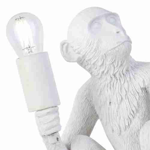 Настольная лампа Evoluce Tenato SLE115104-01