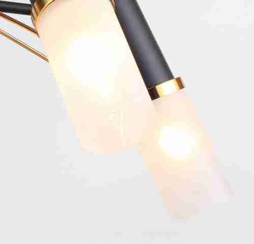 Потолочная люстра F-Promo Viator 2558-5P