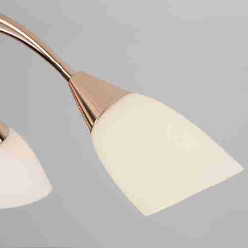 Потолочная люстра Eurosvet 30149/8 золото