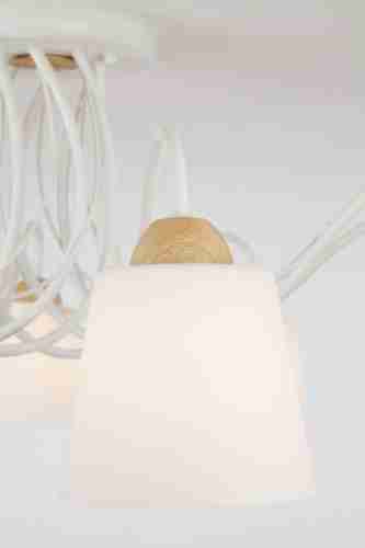 Потолочная люстра Eurosvet Betty 70062/8 белый