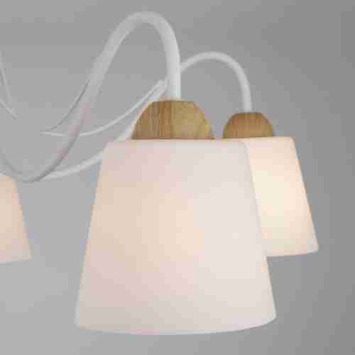 Потолочная люстра Eurosvet 70062/5 белый