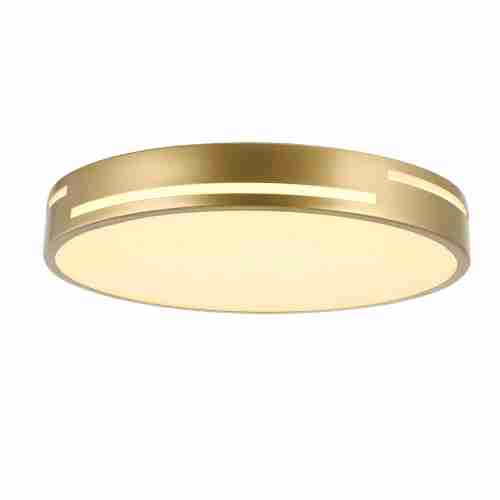 Потолочный светодиодный светильник F-Promo Pall 2745-2C