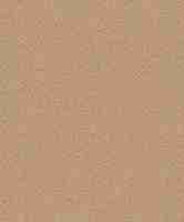 BN 220653 Обои BN (Grounded) (1*12) 10,05x0,53 винил на флизелине