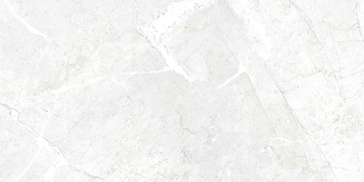 Плитка керамическая Cersanit Dallas светло-серый (DAL521D) 29,8x59,8