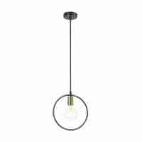 Подвесной светильник Lumion Darryl 3691/1