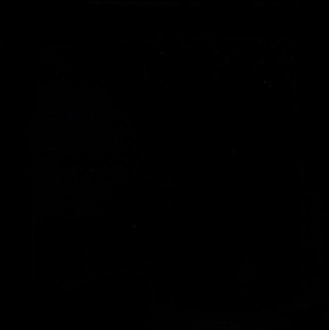 Плитка керамическая Kerama Marazzi Авеллино чёрный 5251\9 вставка 4,9х4,9