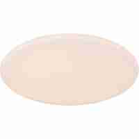 Потолочный светодиодный светильник Globo Rena 48383-50RGBSH