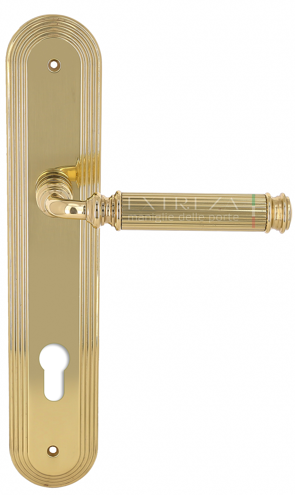 Ручка дверная Extreza BENITO (Бенито) 307 на планке PL05 CYL полированное золото F01