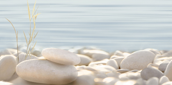 Плитка керамическая Уралкерамика Дель маре ВС9ДМ634 декор 24,9х50