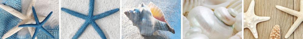 Плитка керамическая Cerrol Durango Regalos Del Mar Listwa B бордюр 6,5х50