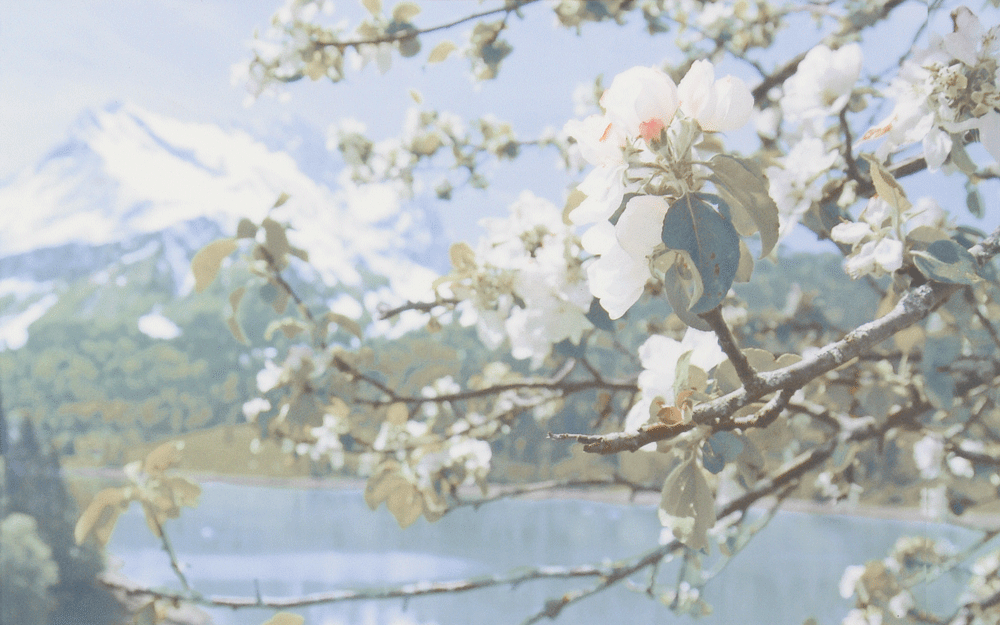 Плитка настенная Gracia Ceramica Davos blue decor 01 250х400