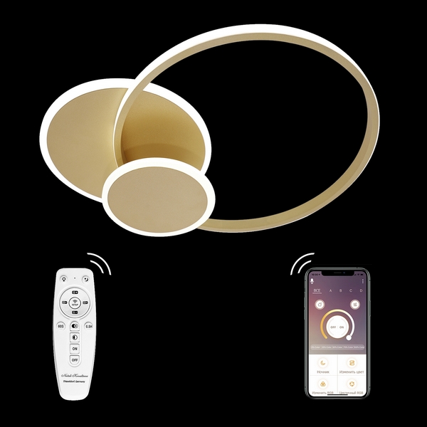 Потолочная люстра Natali Kovaltseva LED LAMPS LED LAMPS 81306
