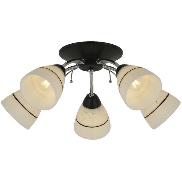 Потолочная люстра TopLight Winnifred TL1255D-05BC