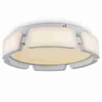 Потолочный светодиодный светильник Freya Ethan FR6040CL-L92W