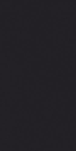 Плитка керамическая Paradyz Modul Grafit (уп.1,44) настенная 60х30