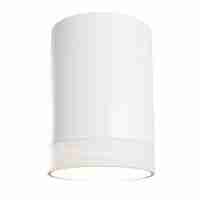 Потолочный светильник Maytoni Pauline C008CW-01W