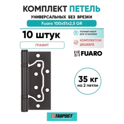 Комплект 10 шт. - Петля универсальная без врезки Fuaro 500-2BB/BL 100x2,5 GR (графит) БЛИСТЕР