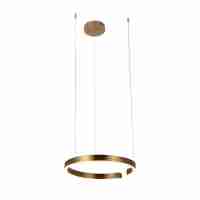 Подвесной светодиодный светильник Loft IT Ring 10013M