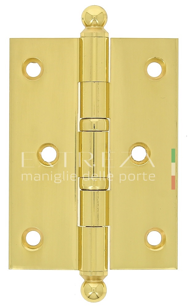 Петля латунная универсальная дверная Extreza 5110 102x76x3 мм полированное золото F01