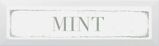 Плитка керамическая Kerama Marazzi Гамма Nt/A38/2882 Mint Зеленый декор 8,5х28,5