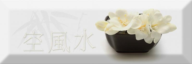 Плитка керамическая Absolut keramika Decor Japan Tea 04 A декор 10х30