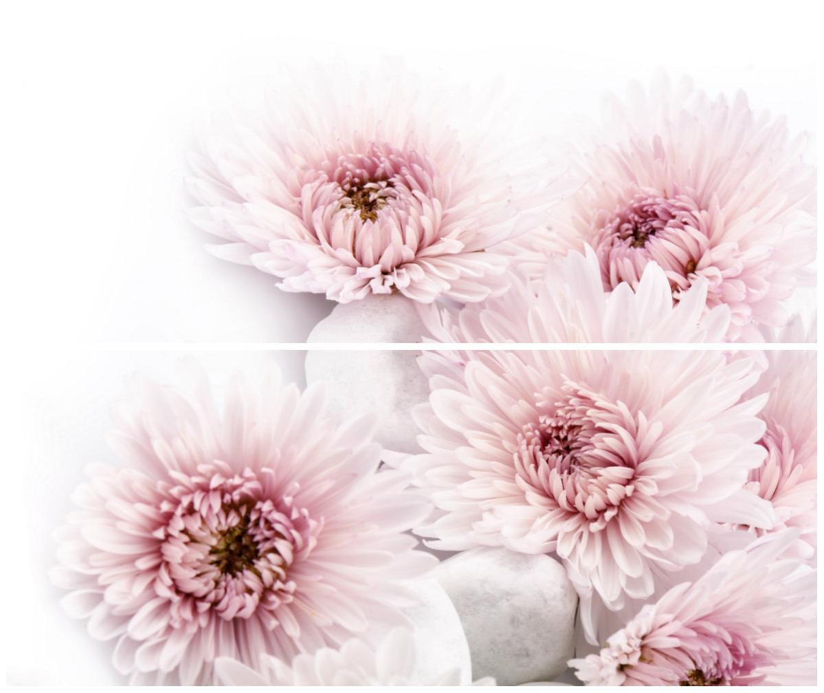 Плитка керамическая Cerrol Formula Asteres-2 A панно 40х50