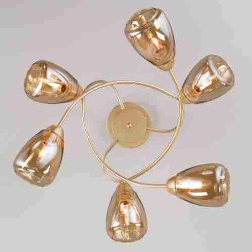 Потолочная люстра Eurosvet Noemi 30168/6 матовое золото