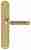 Ручка дверная Extreza BENITO (Бенито) 307 на планке PL01 PASS полированное золото F01