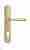 Дверная ручка Venezia "PELLESTRINA" CYL на планке PL02 полированная латунь