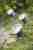 Ландшафтный светильник Paulmann Special Garden Spot 93751