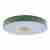 Потолочный светодиодный светильник Loft IT Axel 10003/24 green