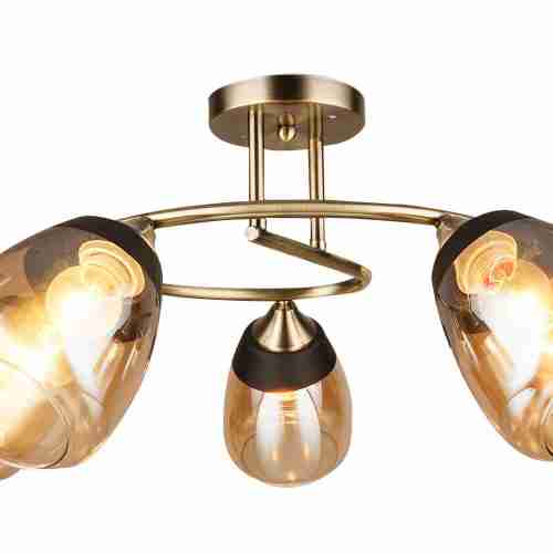 Потолочная люстра Wedo Light Aldino 66425.01.05.05