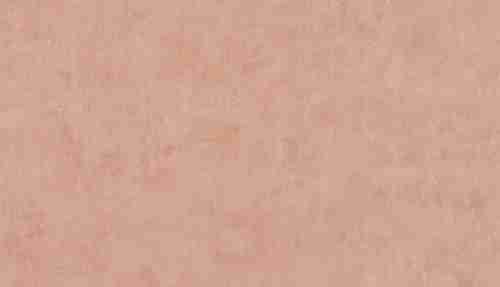 51203013 Обои Lutece (Jardin D'eden) (1*12) 10,05x0,53 винил на флизелине