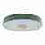 Потолочный светодиодный светильник Loft IT Axel 10003/24 green