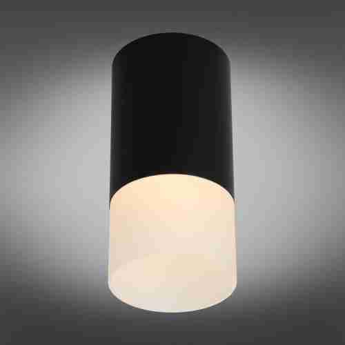 Потолочный светильник Omnilux Lucido OML-100619-01