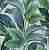 Керамогранит Serenissima Cir Wall07 White Leaf  Rett 120х120 (комп/2шт)