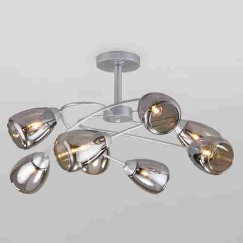 Потолочная люстра Eurosvet Noemi 30168/8 матовое серебро