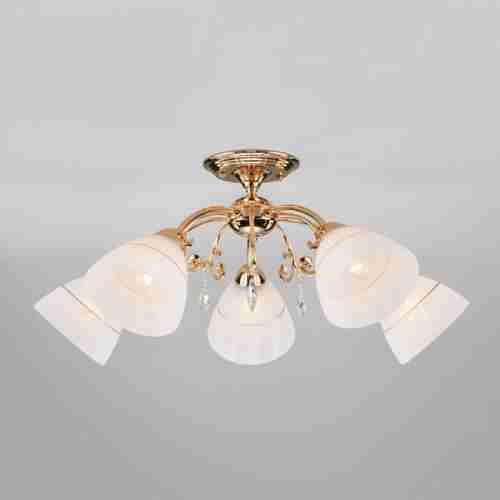 Потолочная люстра Eurosvet Camilla 30156/5