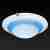 Потолочный светильник Toplight Clare TL9101Y-02BL Потолочный светильник Toplight Clare TL9101Y-02BL