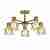 Потолочная люстра Evoluce Stelitto SLE110402-05