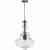 Подвесной светильник Loft IT 2073-B Подвесной светильник Loft IT 2073-B