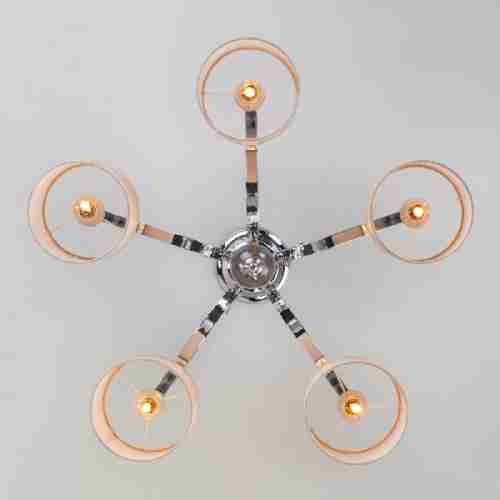 Потолочная люстра Eurosvet Shantel 60111/5