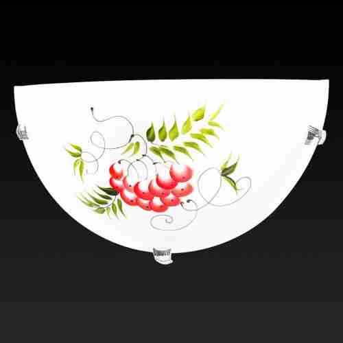 Настенный светильник Toplight Pirolf TL9350Y-01WH