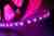 Светодиодная лента SWG LT560 LT560-RGB-50 Светодиодная лента SWG LT560 LT560-RGB-50
