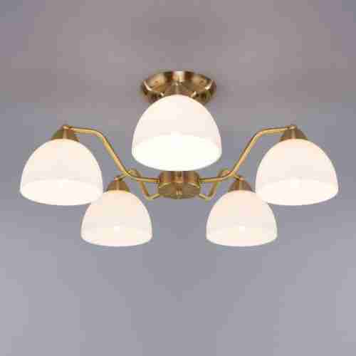 Потолочная люстра Eurosvet Carissa 30172/5