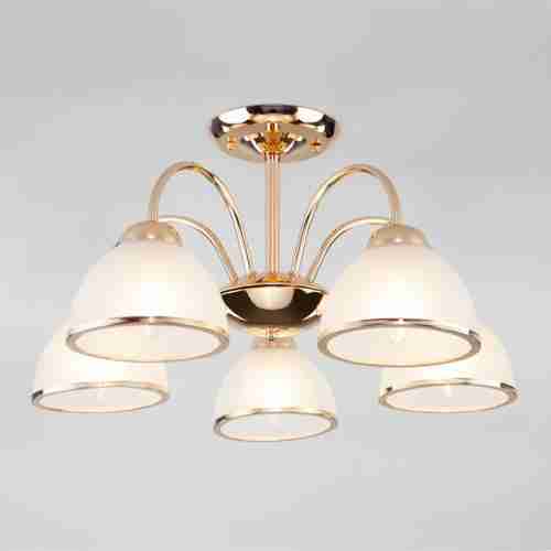 Потолочная люстра Eurosvet Shanon 30174/5