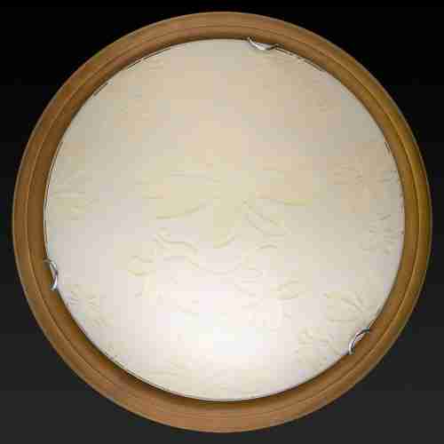 Настенно-потолочный светодиодный светильник Toplight Jane TL9640Y-00OA