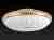 Накладной светильник Toplight Davina TL1482Y-05GC Накладной светильник Toplight Davina TL1482Y-05GC